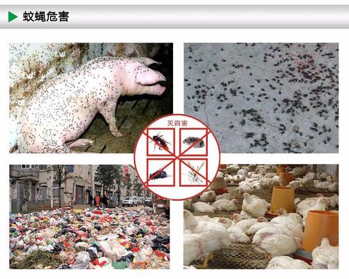 惠州除四害|惠州除四害公司|指定專業工廠殺蟲滅鼠中心